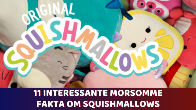 11 interessante morsomme fakta om Squishmallows