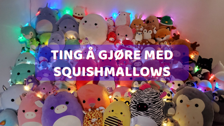 Squishmallows 43 Ting å gjøre med Squishmallows_1