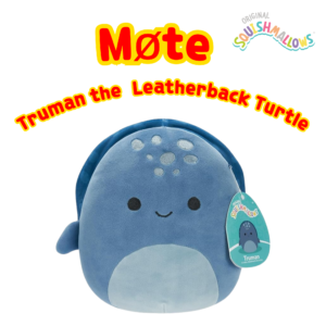 Squishmallows Truman the Leatherback Turtle _6, Squishmallows 19cm