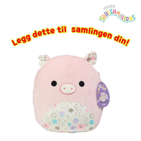 Squishmallows peter the pig_Squishmallows 19 cm_1