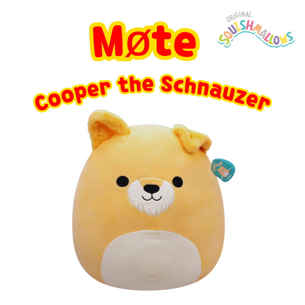 Squishmallows 19cm Cooper Schnauzer | Squishmallows 19cm (8-tommer) | Plysj samleobjekt myk og squishy utstoppet dyreleke – legg til troppen din – gave til barn, jenter og gutter