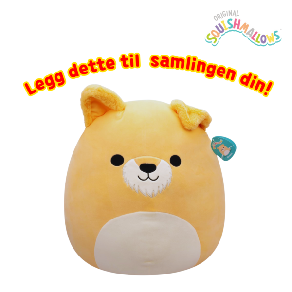 Squishmallows 19cm Cooper Schnauzer | Squishmallows 19cm (8-tommer)_6