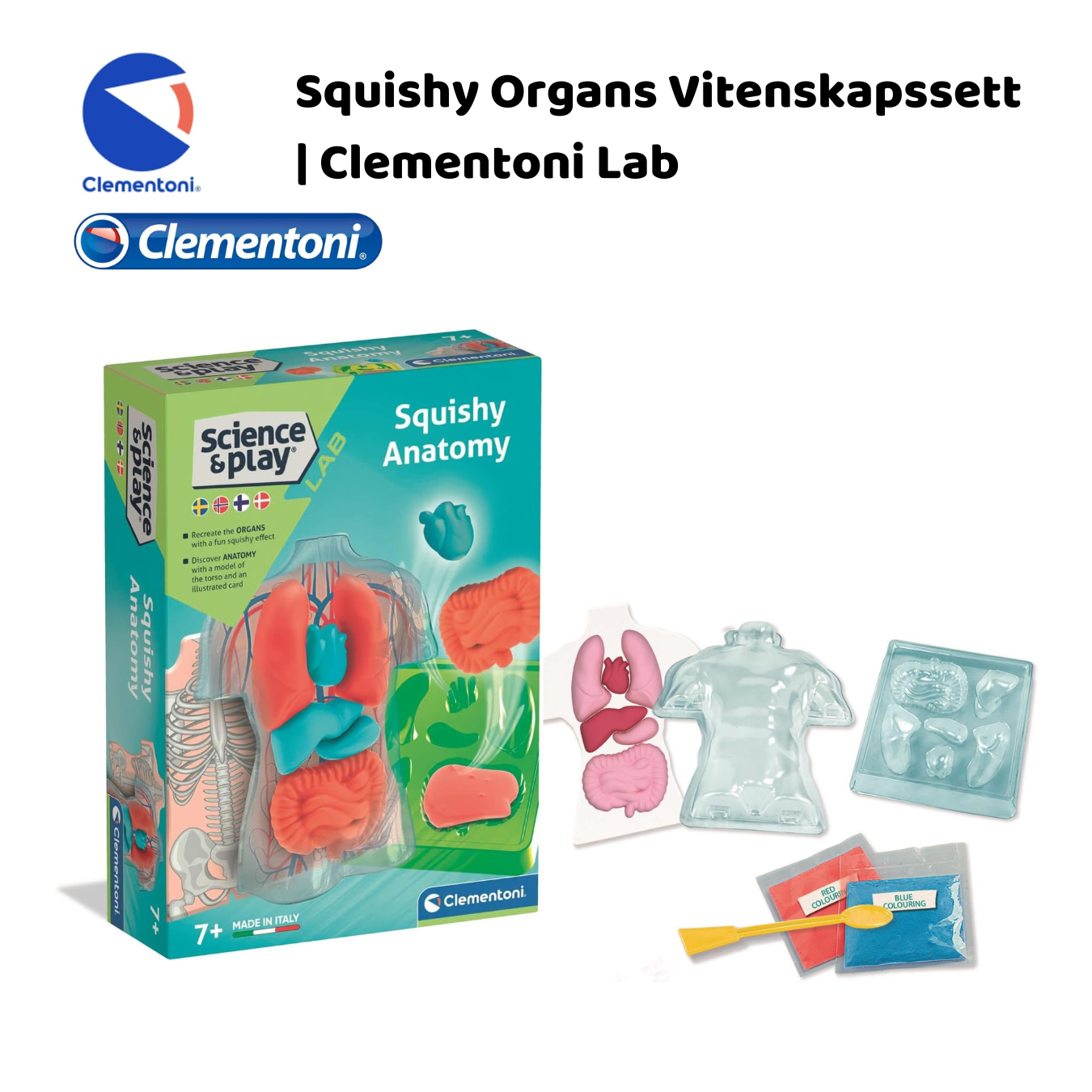 Clementoni Science & Play LAB: Squishy Anatomy | Pedagogisk gave til barn og tenåringer, jenter og gutter