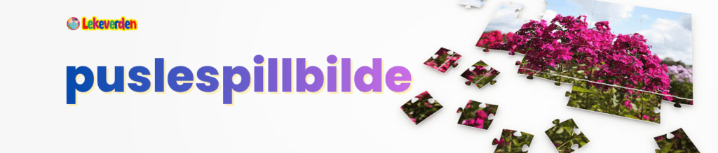 puslespillbilde